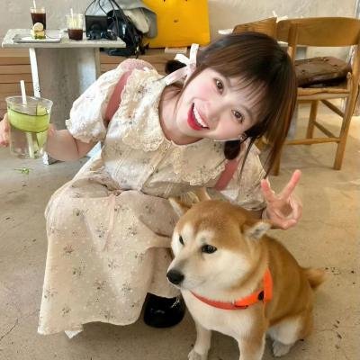 新燕子李三